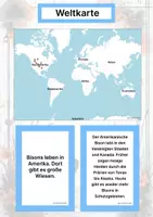 Vorschau - Arbeitsblätter - Der Amerikanische Bison – Steckbrief inklusive – Tiere Nordamerikas – Montessori Lernkarten (Kontinente entdecken) - Seite 2