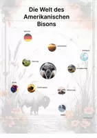 Vorschau - Arbeitsblätter - Der Amerikanische Bison – Steckbrief inklusive – Tiere Nordamerikas – Montessori Lernkarten (Kontinente entdecken) - Seite 3