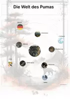 Vorschau - Stationenlernen - Raubtiere (Montessori Lernkarten) – Spielerisch entdecken & verstehen - Seite 3