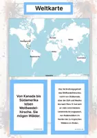 Vorschau - Arbeitsblätter - Der Weißwedelhirsch – Steckbrief inklusive – Tiere Nordamerikas – Montessori Lernkarten (Kontinente entdecken) - Seite 2