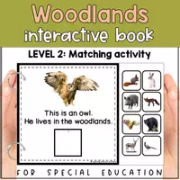 Voorbeeld - Forest animals matching for SPED | Woodlands habitat errorless activity - Pagina 1