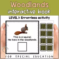 Voorbeeld - Forest animals matching for SPED | Woodlands habitat errorless activity - Pagina 2