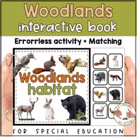 Voorbeeld - Forest animals matching for SPED | Woodlands habitat errorless activity - Voorblad