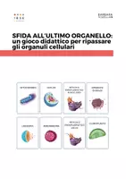 anteprima - Flashcard - Gioco didattico: Sfida all'ultimo organello! - Pagina di copertina