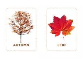 anteprima - Altro tipo di materiale - My Autumn Flashcards - Pagina 2