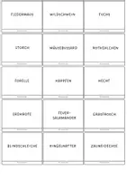Vorschau - Bildkarten - Wirbeltiere - Bildkarten - Seite 3