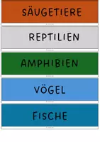 Vorschau - Arbeitsblätter - Materialpaket: Wirbeltiere (Säugetiere, Vögel, Amphibien, Reptilien und Fische - Seite 2