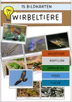 Vorschau - Arbeitsblätter - Materialpaket: Wirbeltiere (Säugetiere, Vögel, Amphibien, Reptilien und Fische - Seite 1