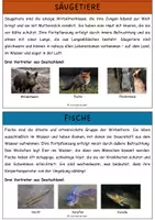 Vorschau - Arbeitsblätter - Wirbeltierklassen - Informationstexte, Arbeitsblätter mit Lösungen (Fortpflanzung, Merkmale von Wirbeltieren) - Seite 1