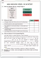 Vorschau - Arbeitsblätter - Was machen Vögel im Winter - Informationstext und Arbeitsblatt mit Lösung (Zugvogel, Standvogel) - Seite 2