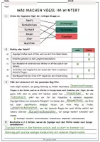 Vorschau - Arbeitsblätter - Was machen Vögel im Winter - Informationstext und Arbeitsblatt mit Lösung (Zugvogel, Standvogel) - Seite 3