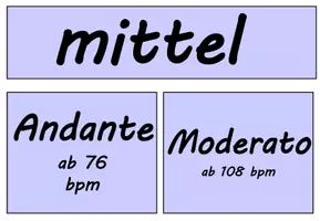 Vorschau - Stundenentwürfe - Materialpaket: Tempo/Tempobezeichnungen - Seite 3