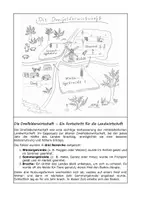 Vorschau - Arbeitsblätter - Korn, Macht und Mühsal – Getreideanbau im Mittelalter - Seite 3