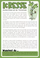 Vorschau - Arbeitsblätter - KRESSE - Lesetext + Arbeitsblatt - Seite 1