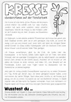 Vorschau - Arbeitsblätter - KRESSE - Lesetext + Arbeitsblatt - Seite 2
