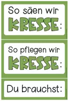 Vorschau - Stundenentwürfe - KRESSE - Materialpaket (1.-4. Klasse) - Seite 3