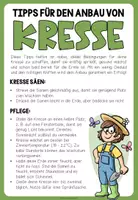 Vorschau - Stundenentwürfe - MEIN GARTEN - Bastelvorlage & Anleitung für einen Kressegarten - Seite 2