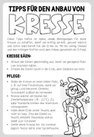 Vorschau - Stundenentwürfe - MEIN GARTEN - Bastelvorlage & Anleitung für einen Kressegarten - Seite 3