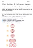 Vorschau - Arbeitsblätter - Materialpaket Mitose - Seite 2