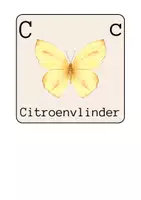 Voorbeeld - Woordkaarten - Pagina 2
