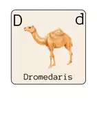 Voorbeeld - Woordkaarten - Pagina 3