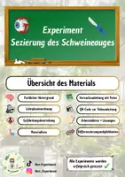 Vorschau - Experimente - Experiment Sezierung des Schweineauges - Deckblatt