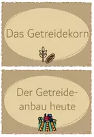 Vorschau - Unterrichtsreihen - Reihentransparenz "Vom Korn zum Brot" - Seite 1