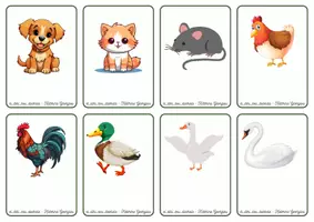 Προεπισκόπηση - Flashcards - Πακέτο υλικού κάρτες λεξιλογίου - Σελίδα 2