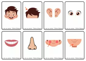 Προεπισκόπηση - Flashcards - Κάρτες ανάπτυξης λεξιλογίου με θέμα τα Μέρη του σώματος - Σελίδα 1