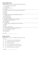 Vorschau - Arbeitsblätter - Shakespeare (Infotext und Übungen) - Seite 2