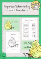 Vorschau - Stundenentwürfe - Körperbau Schmetterling Unterrichtseinheit - Deckblatt