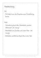 Vorschau - Stundenentwürfe - Körperbau Schmetterling Unterrichtseinheit - Seite 2