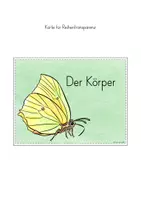Vorschau - Stundenentwürfe - Körperbau Schmetterling Unterrichtseinheit - Seite 3