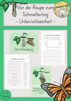 Vorschau - Stundenentwürfe - Schmetterling Raupe Unterrichtsreihe Materialpaket - Seite 1