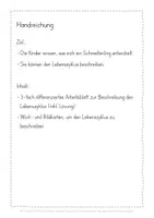 Vorschau - Stundenentwürfe - Schmetterling Raupe Unterrichtsreihe Materialpaket - Seite 3