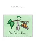 Vorschau - Stundenentwürfe - Von der Raupe zum Schmetterling Entwicklung Unterrichtseinheit - Seite 3