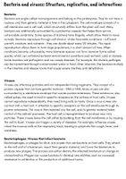 Vorschau - Arbeitsblätter - Bili Mystery: Sample 42 (Immunology/Immunobiology: Viruses & Bacteria) - Seite 2