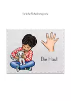 Vorschau - Stundenentwürfe - Haut Tastsinn Fühlen fünf Sinne Unterrichtseinheit - Seite 3