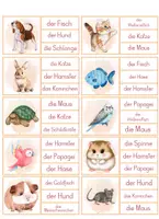 Vorschau - Spiele - Klammerkarten Haustiere – Wortschatz mit Selbstkontrolle | DaZ A1 | Grundschule - Seite 1