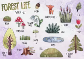zapowiedź - FOREST LIFE – ZESTAW MATERIAŁÓW DO DRUKU - strona 2
