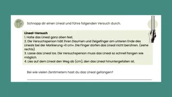 Vorschau - Arbeitsblätter - PPT & Stundenentwurf Einstieg Reize - Teil 1 - Nervenwelt - Seite 2
