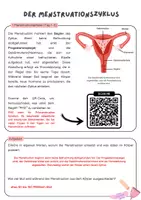 Vorschau - Arbeitsblätter - Der Menstruationszyklus- Gruppenarbeit| Unterrichtsreihe "Sexualerziehung", Biologie Klasse 6./8. - Seite 1