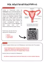 Vorschau - Arbeitsblätter - Der Menstruationszyklus- Gruppenarbeit| Unterrichtsreihe "Sexualerziehung", Biologie Klasse 6./8. - Seite 2