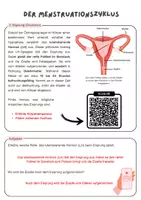 Vorschau - Arbeitsblätter - Der Menstruationszyklus- Gruppenarbeit| Unterrichtsreihe "Sexualerziehung", Biologie Klasse 6./8. - Seite 3