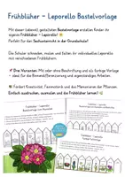 Vorschau - Mal- und Bastelvorlagen - Frühblüher Bastelvorlage für den Sachunterricht Leporello 2 - Seite 1