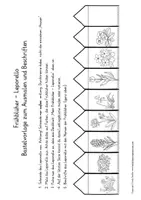 Aperçu - Apprentissages en autonomie - Allemand Deutsch Frühblüher Leporello 2 - Page 3