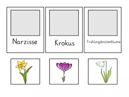 Vorschau - Stationenlernen - Ergänzungsset - Frühling - Seite 1