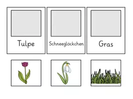 Vorschau - Stationenlernen - Ergänzungsset - Frühling - Seite 2