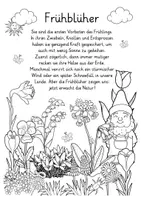 Vorschau - Arbeitsblätter - Frühblüher im Sachunterricht kostenloses Themenplakat I Lesetext und Ausmalbild - Seite 2