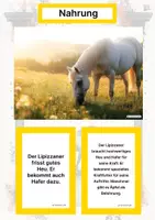 Vorschau - Arbeitsblätter - Der Lipizzaner – Steckbrief inklusive – Pferderassen Europas – Montessori Lernkarten (Kontinente entdecken) - Seite 1